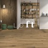 Видеопрезентация коллекции Италон 3D Experience